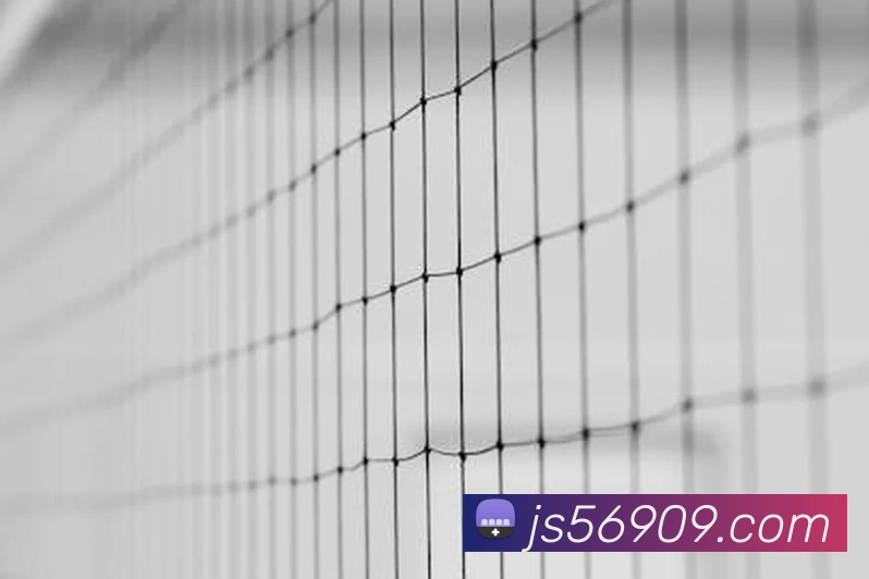 金沙娱乐官方网站平台生态图